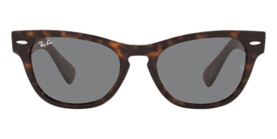 Kính mát (kính râm) Ray-Ban Laramie RB 2201 902/B1 chính hãng