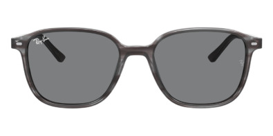 Kính mát (kính râm) Ray-Ban Leonard RB 2193 1314/B1 chính hãng