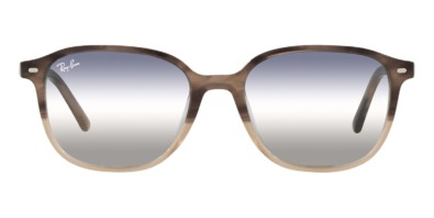 Kính mát (kính râm) Ray-Ban Leonard RB 2193 1327/GF chính hãng