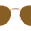 Kính mát (kính râm) Ray-Ban New Round RB 3637 9202/33 chính hãng