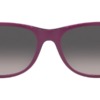 Kính mát (kính râm) Ray-Ban New Wayfarer RB 2132 6606/M3 Polarised chính hãng
