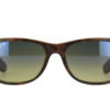 Kính mát (kính râm) Ray-Ban New Wayfarer 2132 894/76 Polarised chính hãng