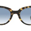 Kính mát (kính râm) Ray-Ban Orion RB 2199 1332/3F chính hãng