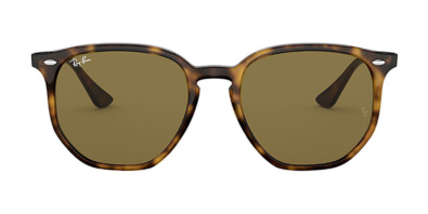 Kính mát (kính râm) Ray-Ban RB 4306 710/73 chính hãng