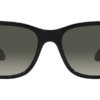 Kính mát (kính râm) Ray-Ban RB 4388 601/71 chính hãng