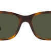 Kính mát (kính râm) Ray-Ban RB 4388 710/31 chính hãng