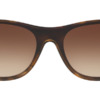 Kính mát (kính râm) Ray-Ban Blaze Wayfarer RB 4440N 710/13 chính hãng