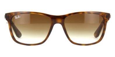 Kính mát (kính râm) Ray-Ban RB 4181 710/51 chính hãng