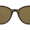 Kính mát (kính râm) Ray-Ban RB 4305 710/73 chính hãng