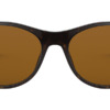 Ray-Ban Wayfarer II RB 2185 902/57 7 Kính mát (kính râm) Ray-Ban Wayfarer II RB 2185 902/57 chính hãng
