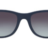Kính mát (kính râm) Ray-Ban Wayfarer Liteforce RB 4195 6331/8G chính hãng