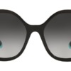 Kính mát (kính râm) Tiffany & Co TF4192 8001/3C chính hãng