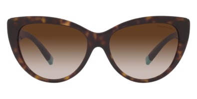 Kính mát (kính râm) Tiffany & Co TF4196 8015/3B chính hãng