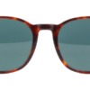 Kính mát (kính râm) Tom Ford Ansel TF858 54V chính hãng