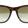 Kính mát (kính râm) Tom Ford Brooklyn TF833 52Q chính hãng