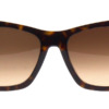 Kính mát (kính râm) Tom Ford Poppy-02 TF846 52F chính hãng