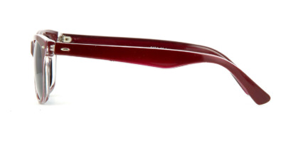 Carnegie Sunoptic SP112E Polarised 3 Kính mát Carnegie Sunoptic SP112E Polarised 100% hàng chính hãng