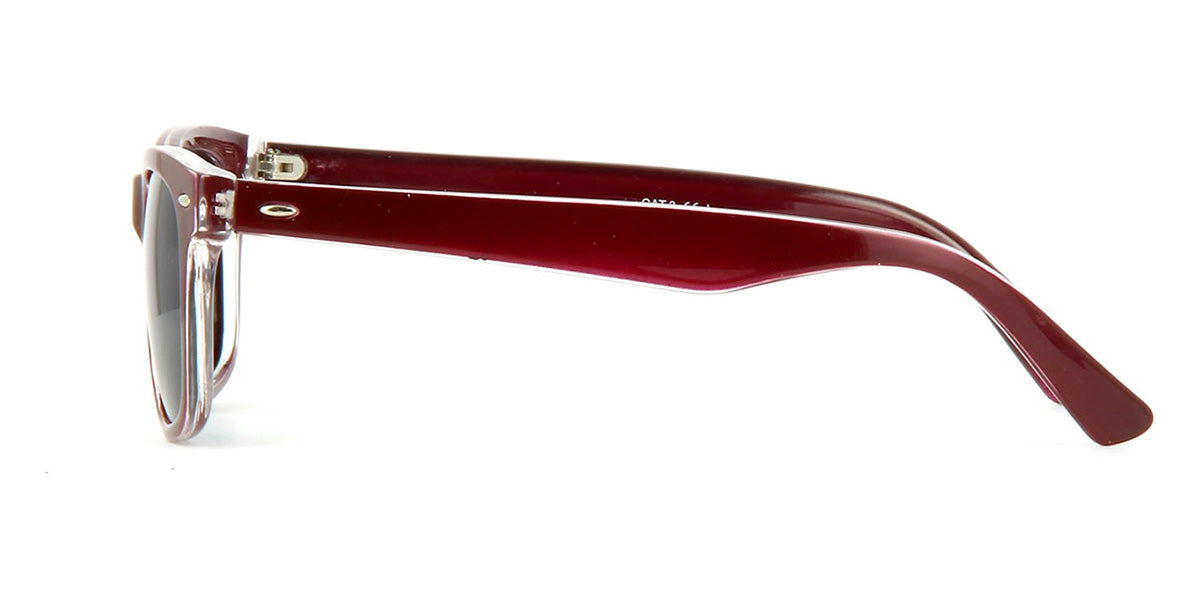 Carnegie Sunoptic SP112E Polarised 2 Kính mát Carnegie Sunoptic SP112E Polarised 100% hàng chính hãng