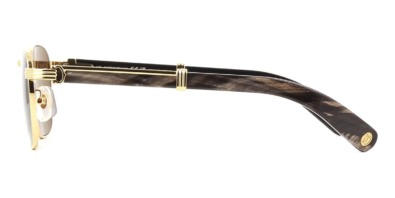 Kính mát Cartier CT0363S 001 100% hàng chính hãng