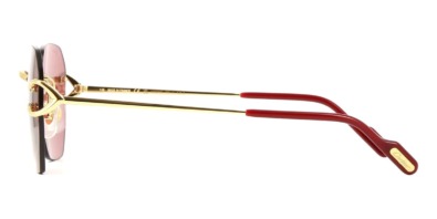 Kính mát Cartier CT0394S 003 100% hàng chính hãng