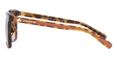 Kính mát Coach CH561 HC8374U 5120/13 100% hàng chính hãng