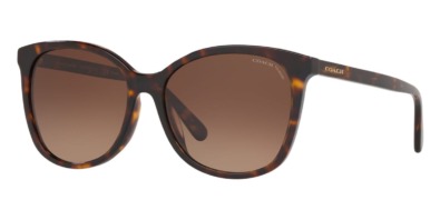 Kính râm Coach HC8271U L1101 5120/T5 Polarised chính hãng