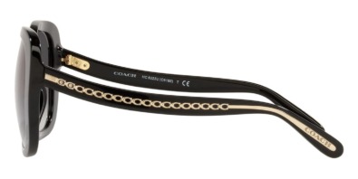 Kính mát Coach HC8323U 5002/8G 100% hàng chính hãng