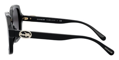 Kính mát Coach L1147 HC8295 5002/8G 100% hàng chính hãng