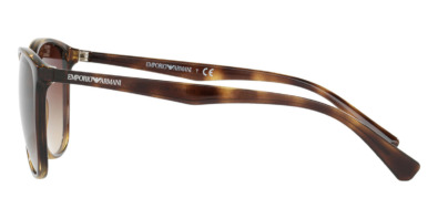 Kính mát Emporio Armani EA4073 5026/13 100% hàng chính hãng