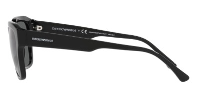 Emporio Armani EA4175 5875/87 5 Kính mát Emporio Armani EA4175 5875/87 100% hàng chính hãng