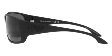 Kính mát Emporio Armani EA4191U 5063/87 100% hàng chính hãng