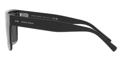 Kính mát Giorgio Armani AR8177 5001/87 100% hàng chính hãng