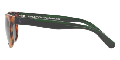 Kính mát Polo Ralph Lauren PH4099 5618/71 100% hàng chính hãng