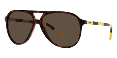 Kính râm Polo Ralph Lauren PH4173 5003/73 chính hãng