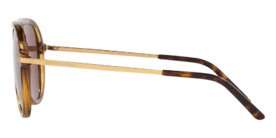Ralph Lauren RL8177 5003/73 5 Kính mát Ralph Lauren RL8177 5003/73 100% hàng chính hãng
