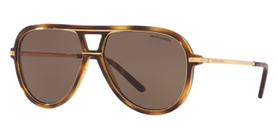 Ralph Lauren RL8177 5003/73 4 Kính râm Ralph Lauren RL8177 5003/73 chính hãng