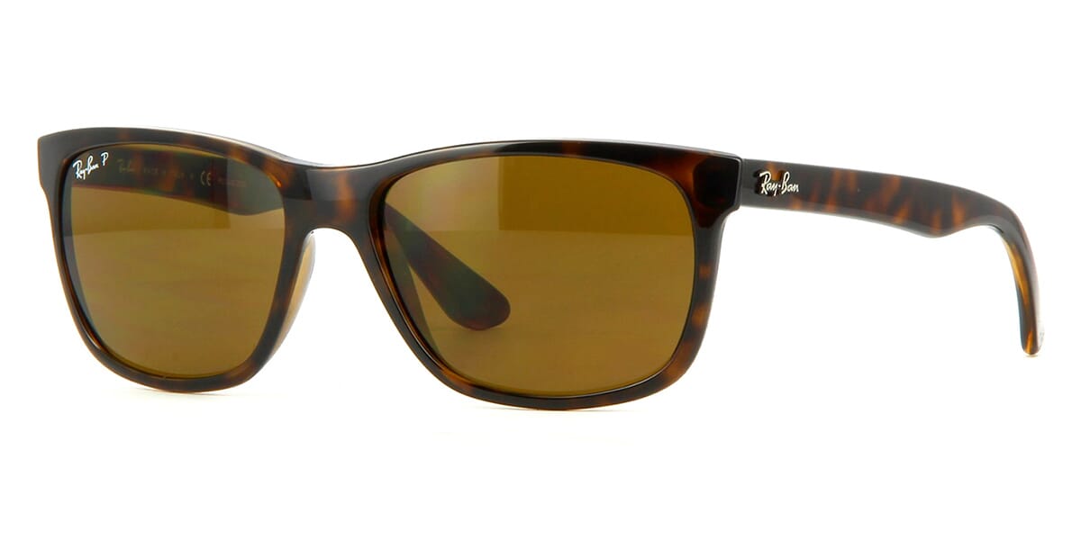 Ray-Ban RB 4181 710/83 Polarised 2 Kính râm Ray-Ban RB 4181 710/83 Polarised chính hãng