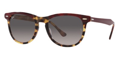 Kính râm Ray-Ban EagleEye RB 2398 1377/M3 Polarised chính hãng