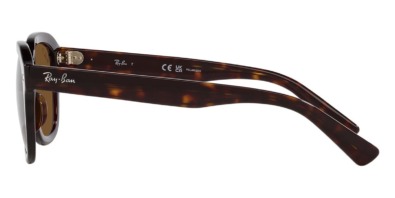 Ray-Ban Erik RB 4398 902/57 Polarised 5 Kính mát Ray-Ban Erik RB 4398 902/57 Polarised 100% hàng chính hãng
