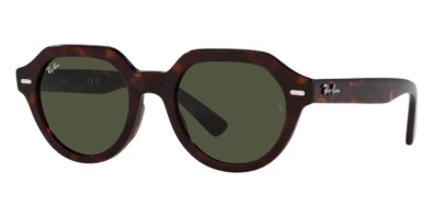 Kính râm Ray-Ban Gina RB 4399 902/31 chính hãng