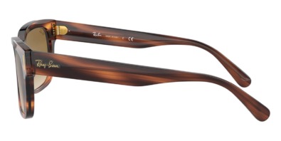 Ray-Ban Jeffrey RB 2190 954/51 5 Kính mát Ray-Ban Jeffrey RB 2190 954/51 100% hàng chính hãng