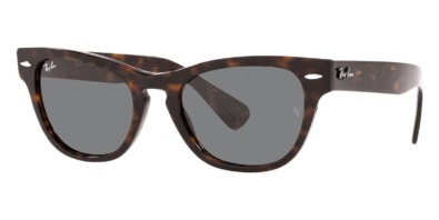 Ray-Ban Laramie RB 2201 902/B1 4 Kính râm Ray-Ban Laramie RB 2201 902/B1 chính hãng