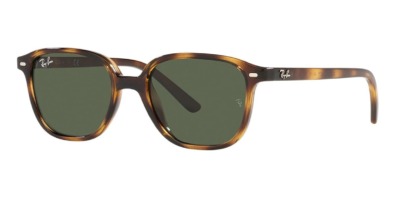 Kính râm Ray-Ban Leonard Jr RJ 9093S 152/71 Childs Frame chính hãng