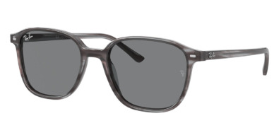 Kính râm Ray-Ban Leonard RB 2193 1314/B1 chính hãng