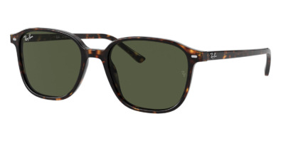 Kính râm Ray-Ban Leonard RB 2193 902/31 chính hãng