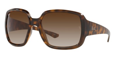 Kính râm Ray-Ban Powderhorn RB 4347 710/13 chính hãng