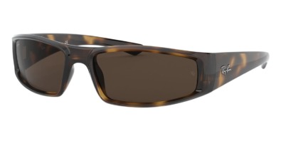 Kính râm Ray-Ban RB 4335 710/73 chính hãng