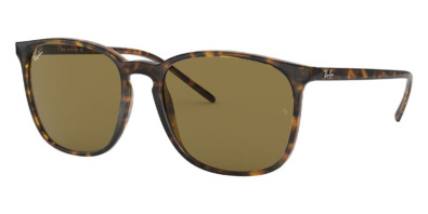 Kính râm Ray-Ban RB 4387 710/73 chính hãng