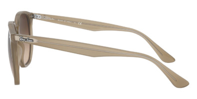 Kính mát Ray-Ban RB 4306 6166/13 100% hàng chính hãng