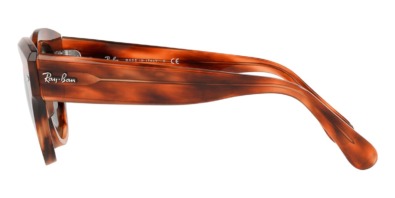 Kính mát Ray-Ban Roundabout RB 2192 954/31 100% hàng chính hãng